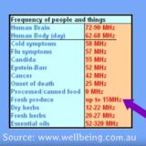 Frequencies of Organs 2