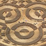 http-mashable.comwp-contentuploads201407Crop-Circle-Germany