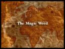 The Magic Weed - The History Of Marijuana (2009)