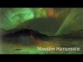 Red Ice Radio - Nassim Haramein Interview