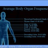 Frequencies of Organs