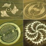 crop_circles1