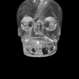 mystery-of-the-crystal-skulls-the-stare-of-death