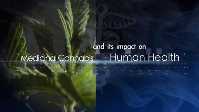 THC Creative Media - Medicinal Cannabis and its Impact on Human Health