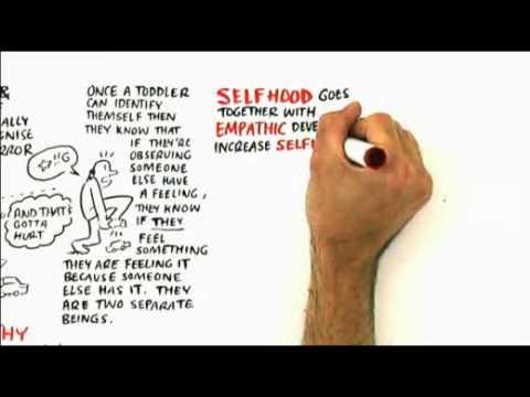 RSA Animate - The Empathic Civilisation