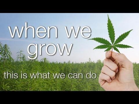 Seth Finegold and Luke Bailey - WHEN WE GROW, This is what we can do (Full Documentary)