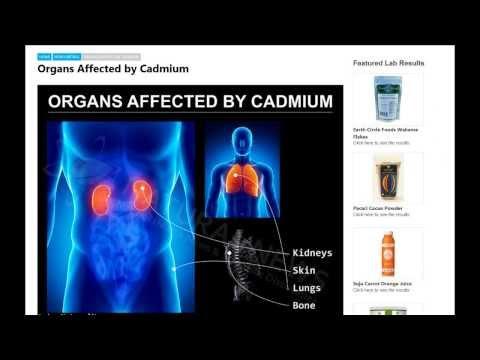 Natural News Labs - Why heavy metals are so toxic to your body: lead, cadmium, mercury, arsenic