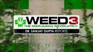 Weed 3 - The Marijuana Revolution Dr Sanjay Gupta