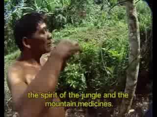 Dean Jeffreys - Shamans Of The Amazon